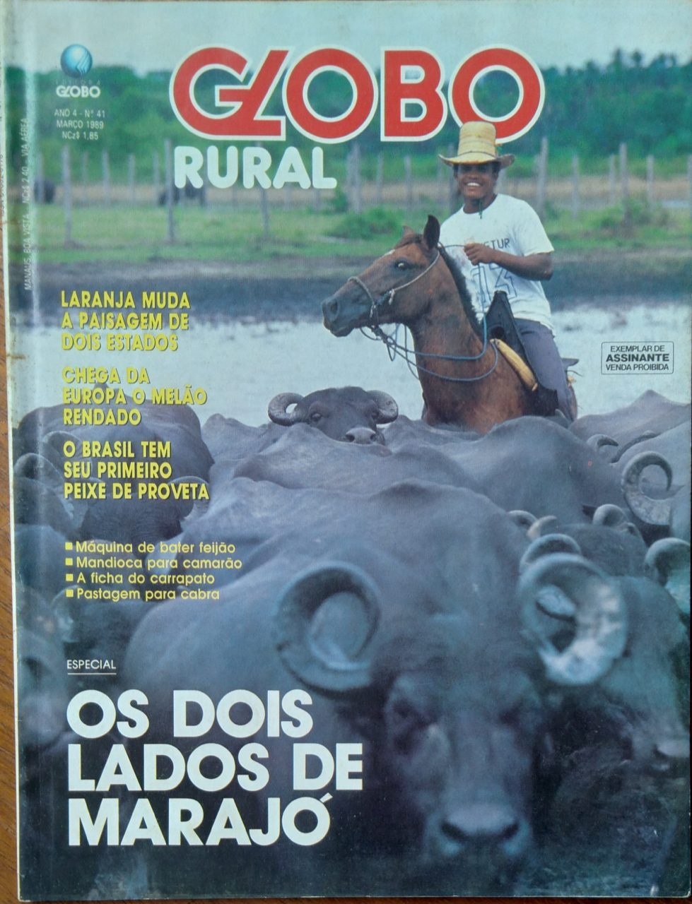 | Casa do Colecionador Revista Globo Rural 41 / Os Dois lados de Marajó / Peixe de Proveta.