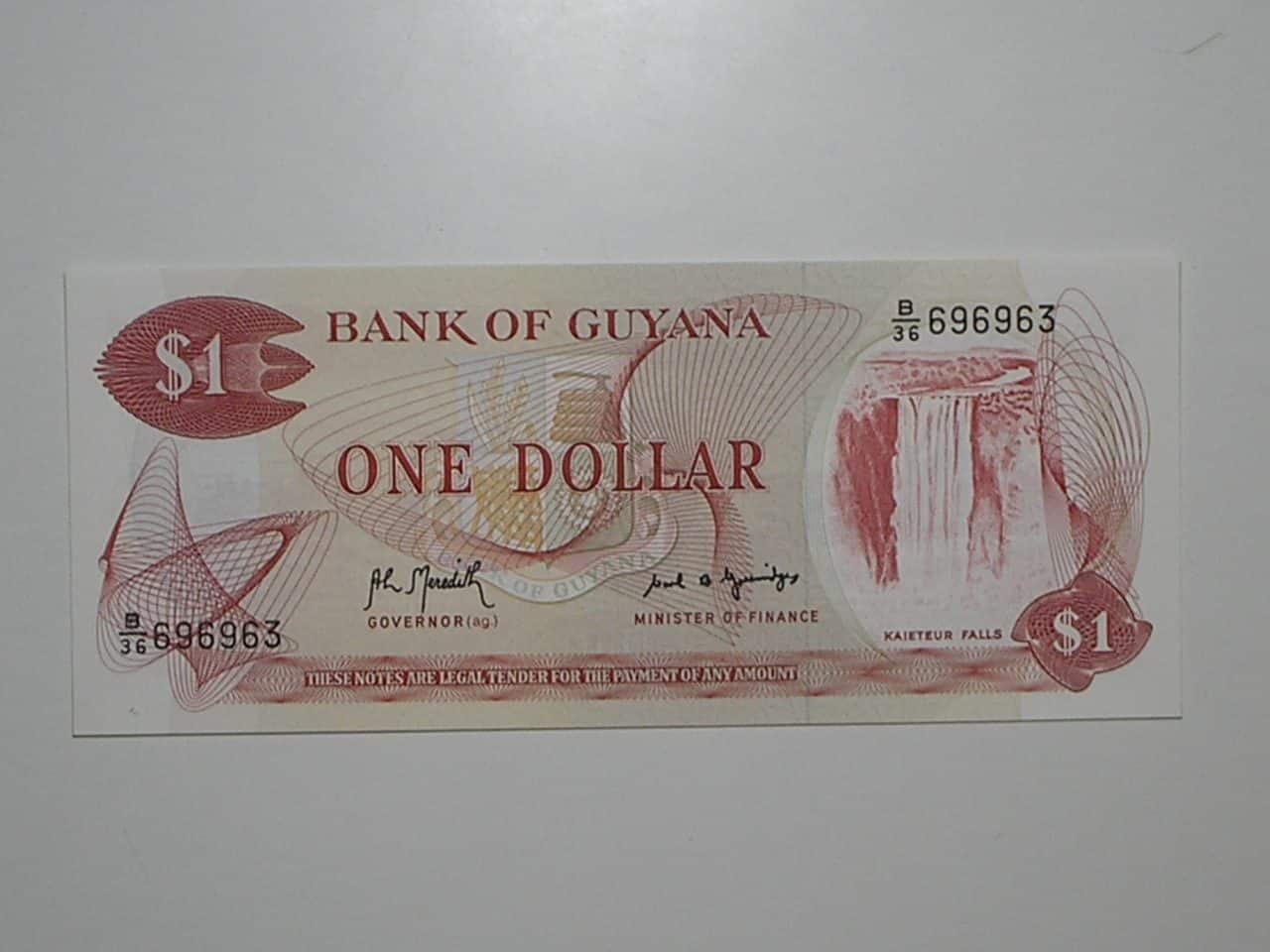 Guyana) 1 Dollar - 1992 / Flor de Estampa / 696963 / ce04
