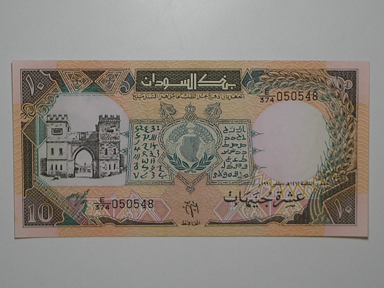 Sudão) 10 Sudanese Pounds - 1991 / Flor de Estampa / ce04