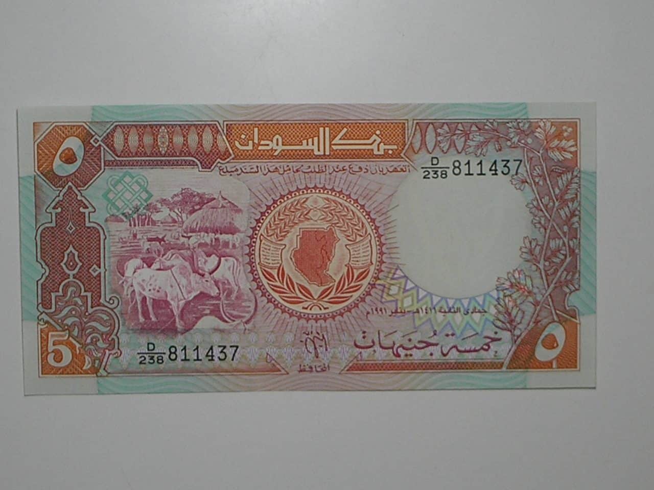 Sudão) 5 Sudanese Pounds - 1991 / Flor de Estampa / ce04