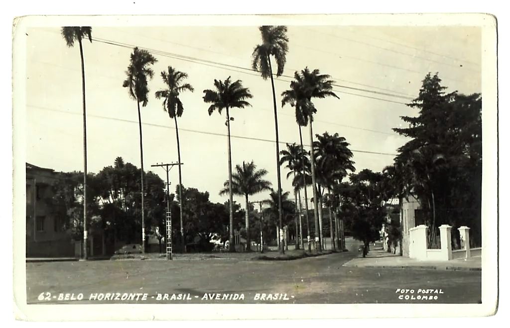 Cartao Postal Fotografico - Avenida Brasil - Belo Horizonte - MG - Anos 50