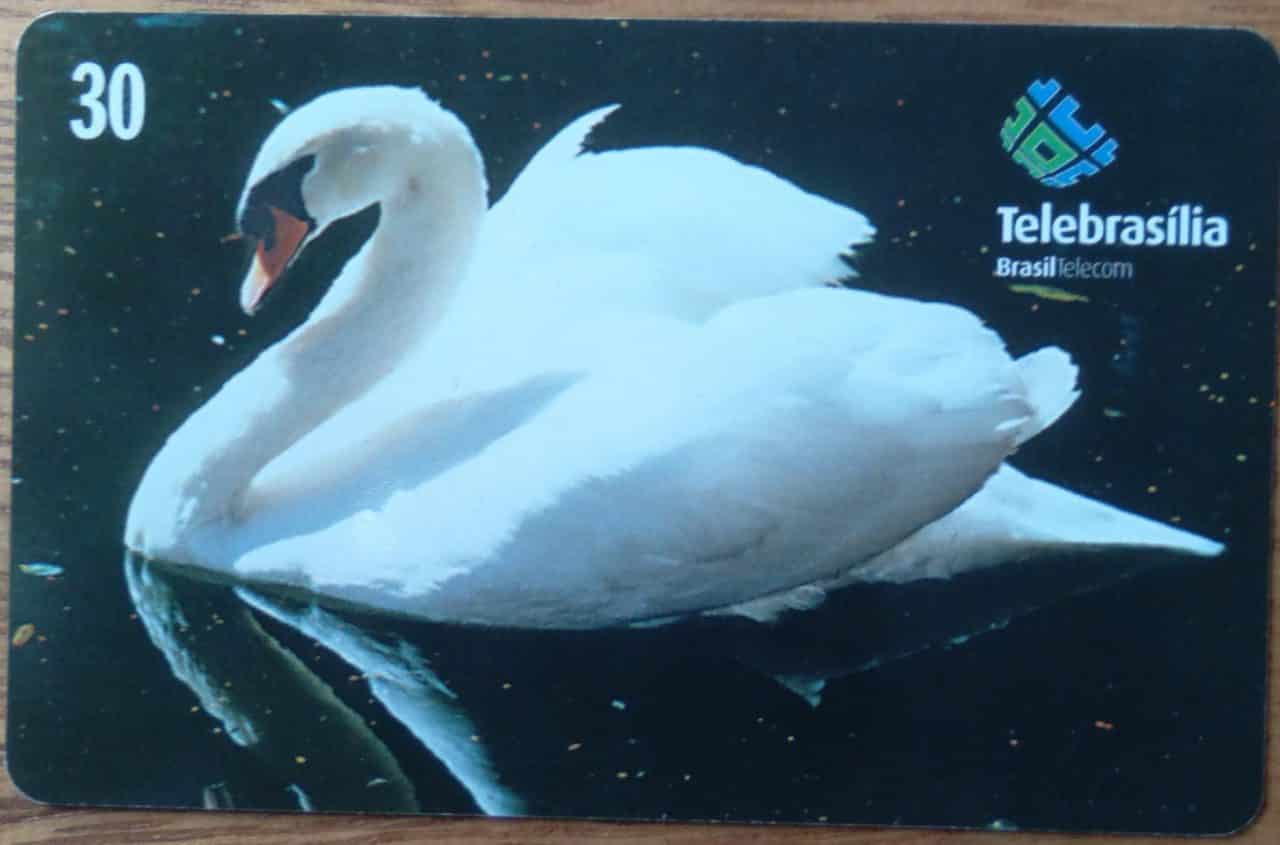 Brasil Telebrasilia 2000 / Fauna Cisne Real.