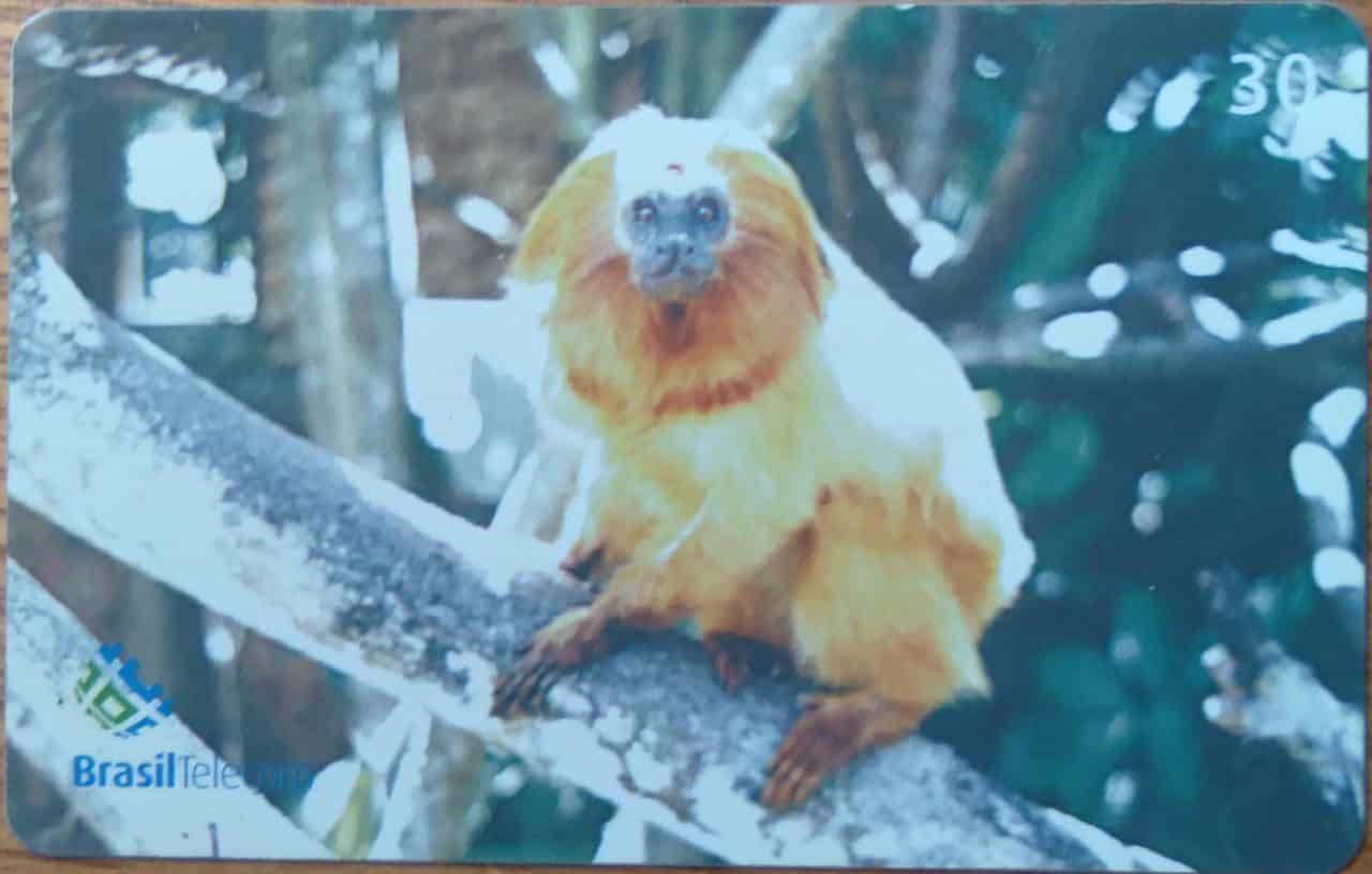 Cartao telefone Brasil Telecom 2002. Fauna Mico Leão Dourado