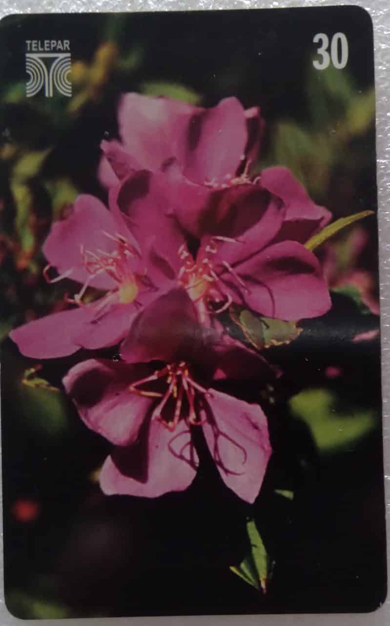 Ct Brasil Telepar 2000 / Flores do Paraná Quaresmeira.