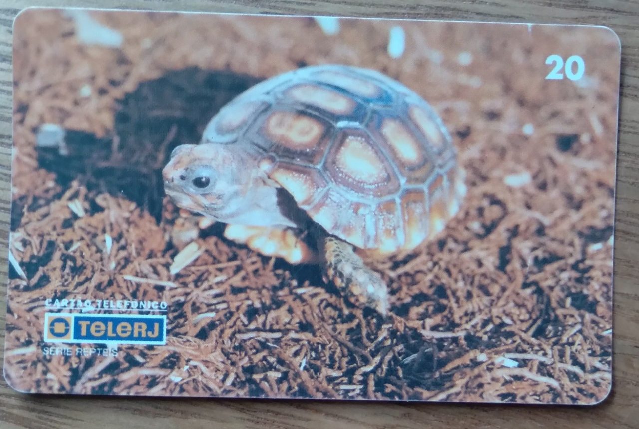 Cartao telefone Brasil Telerj / Répteis Jabuti Paraná/ tir 300000