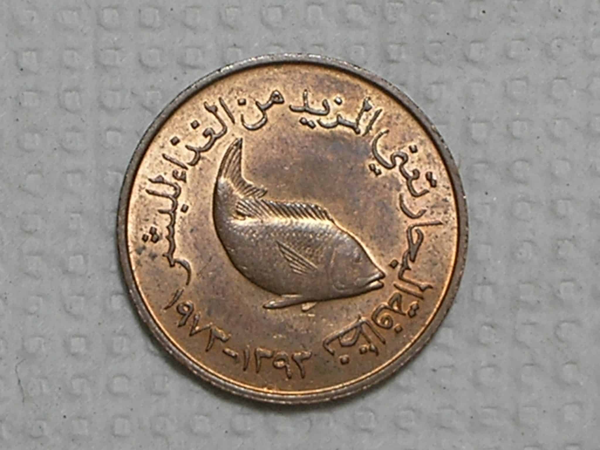 United Arab Emirates) 5 Fils - 1973 /Bz/Al / Fc / box18