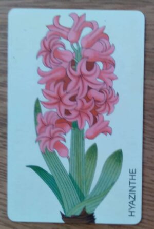 Cartao Alemanha Telefon Chip 1998 Flor Hyazinthe