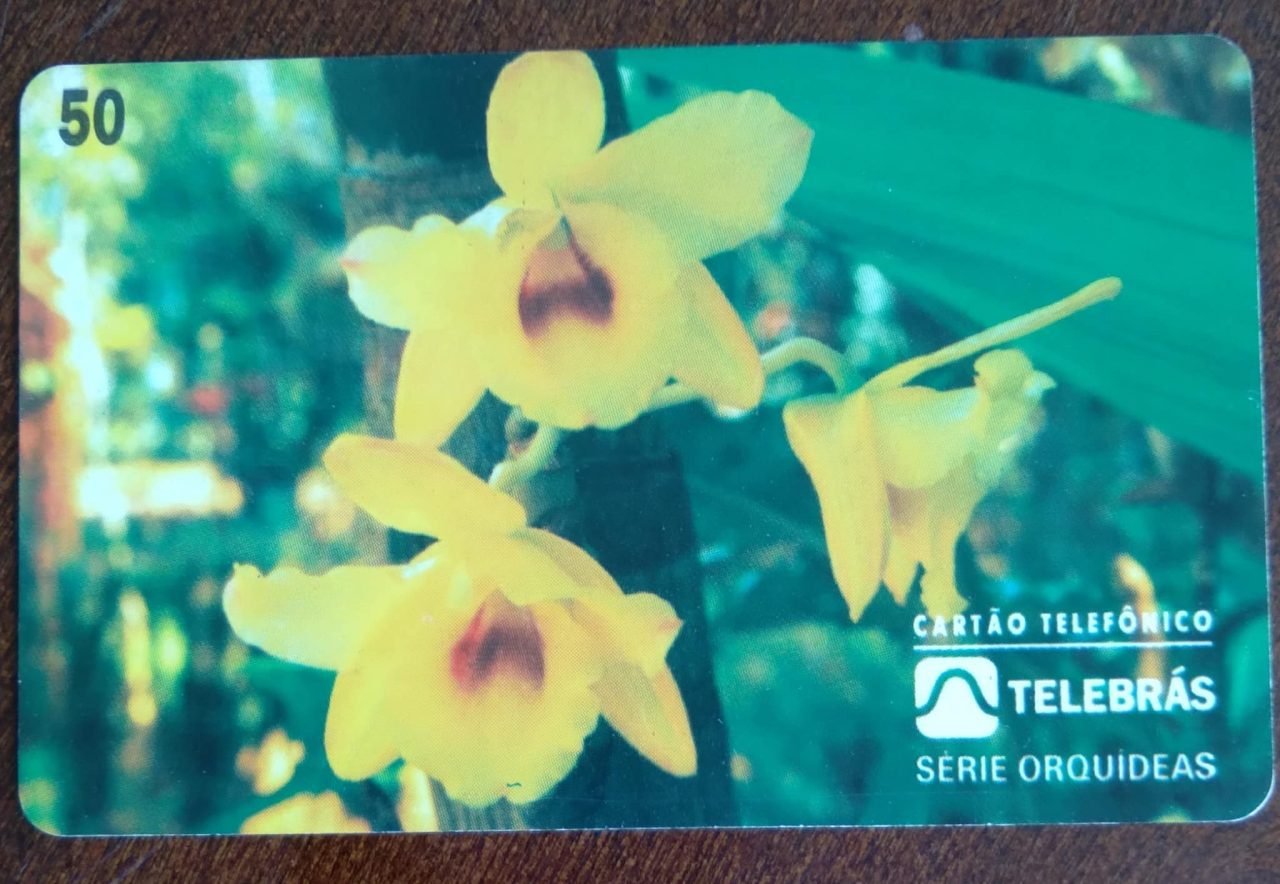 Ct Brasil Telebrás 00 1995 / Orquideas / Dendrobium Calciolaria.