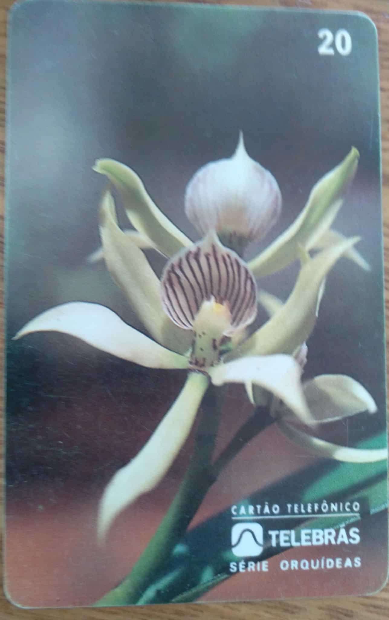 Ct Brasil Telebrás 00 1995 / Orquideas / Epidendrum Fragrans.