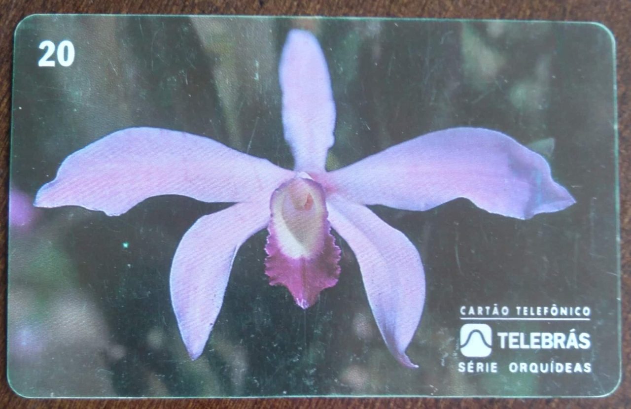 Ct Brasil Telebrás 00 1995 / Orquideas / Laelia Perrinii.