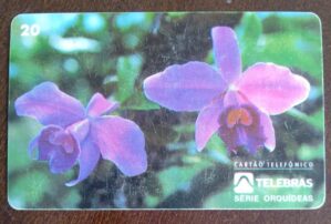 Ct Brasil Telebrás 00 1995 / Orquideas / Laelia Pumilla.