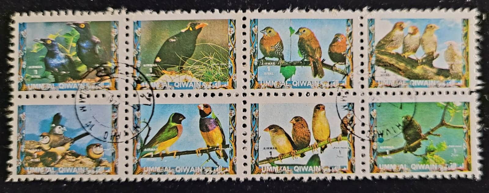 Emirados Árabes Unidos (Umm Al Qiwain) SW Nº 1487 a 1494 (Usado) Pássaros - 1972 - Selos Aéreos