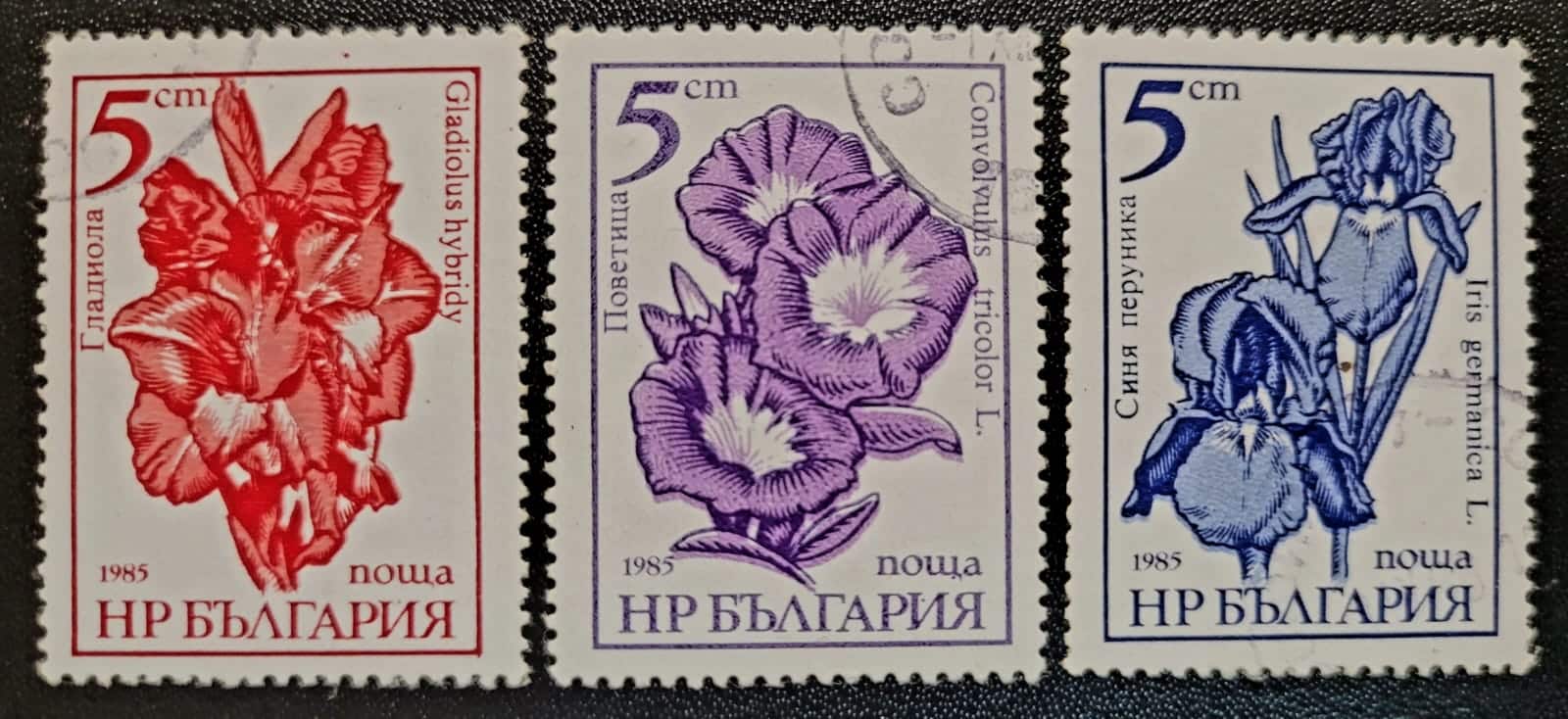 Selos Bulgaria Flores de Jardim 1 Casa do Colecionador