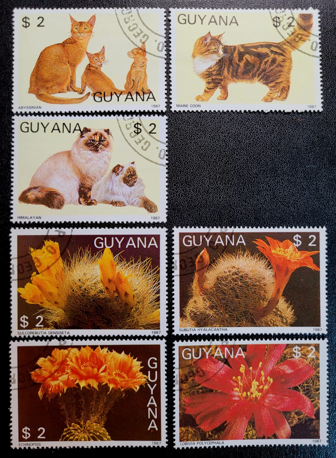Selos Guiana Flora e Fauna 1 Casa do Colecionador