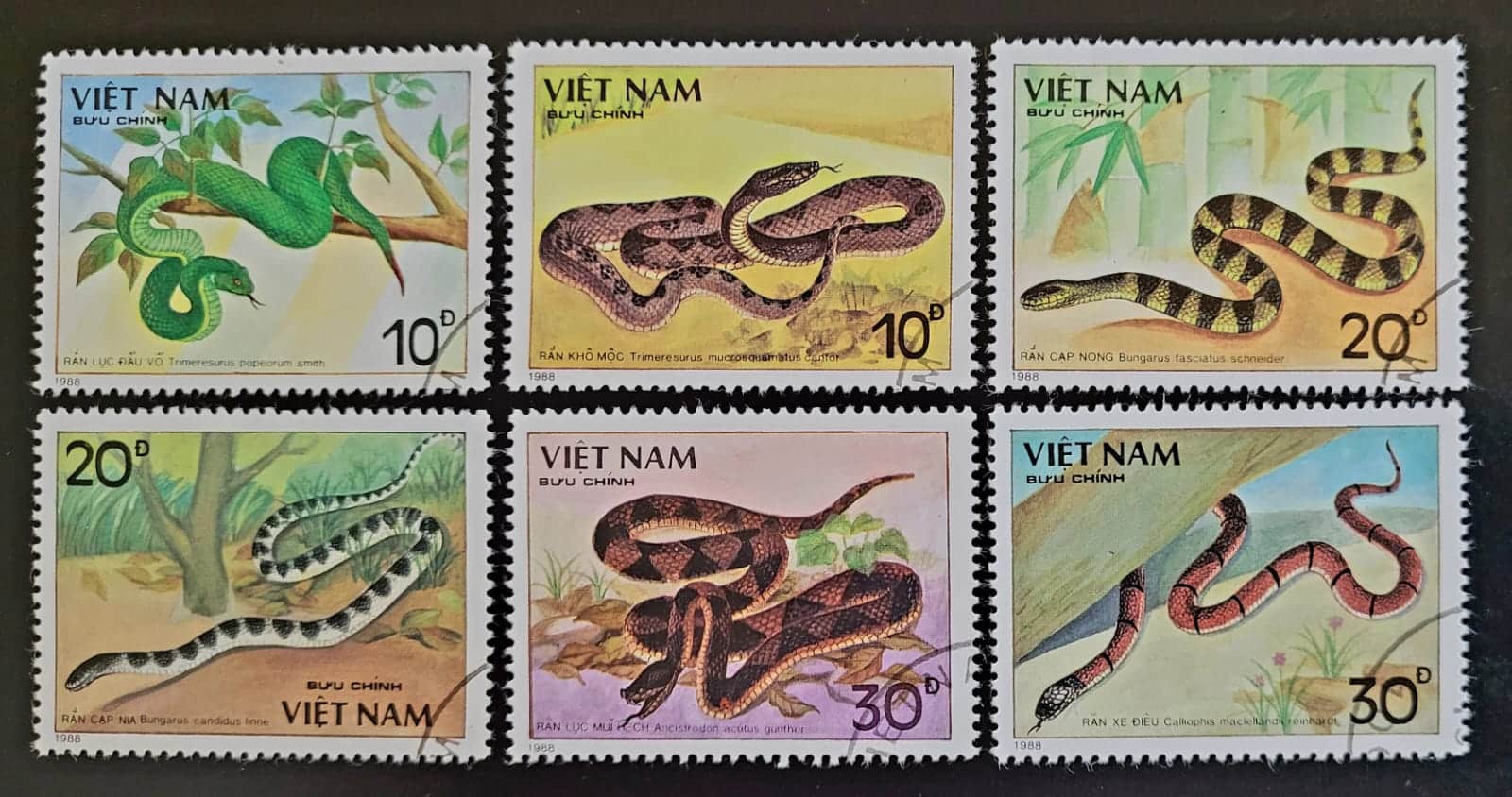 Selos Vietna Cobras Venenosas 1 Casa do Colecionador