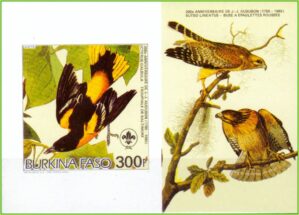 Burkina Faso - Aves - 1985 - Ilustrações de Audubon - Bloco sem perfuração com ilustração - 3
