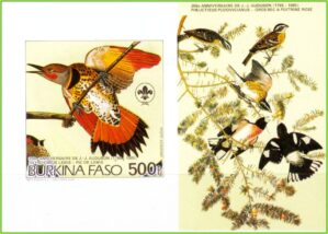 Burkina Faso - Aves - 1985 - Ilustrações de Audubon - Bloco sem perfuração com ilustração - 5