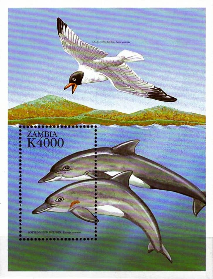 | Casa do Colecionador Zâmbia - Fauna - 1999 - Bloco