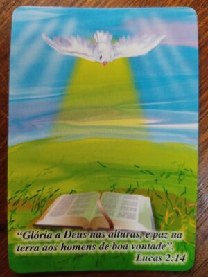 Calendário de Bolso (Tema Religiosos) Ano 2001