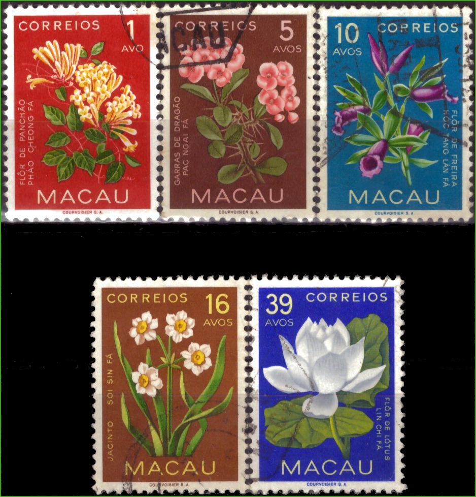 Macau - Flores - 1953