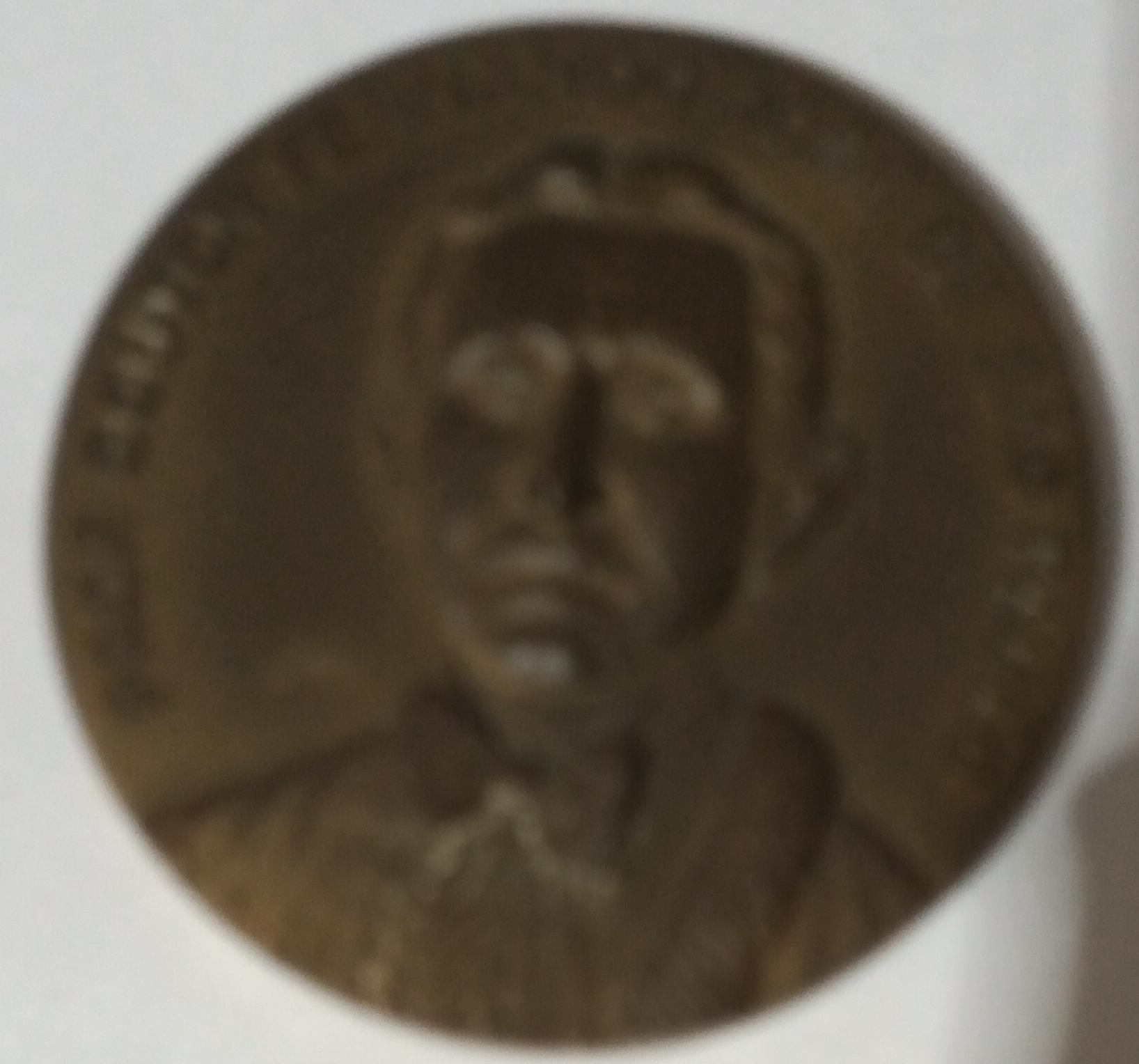 Medalha Prof. Doutor Fernando Jose de Sao Paulo Alto Relevo Bronze 1 Casa do Colecionador
