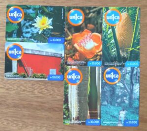 242Q Cartão telefone Venezuela Única. Jardim Botânico de Caracas. Valor cada ct.