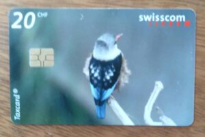 242S Cartão Telefone Suíça Swisscom 2004. Mundo dos Pássaros Martin pescador.