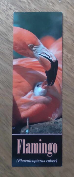 243Q Cartão marca páginas série exotic wildlife 8618. Flamingo.