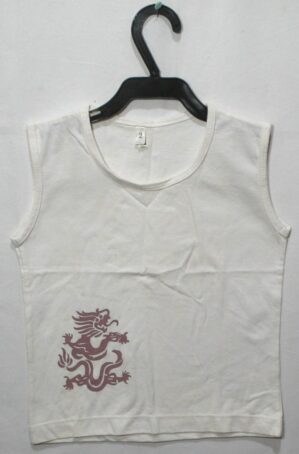 Camiseta menino com estampa motivo dragão, veste 2 anos, 100% algodão
