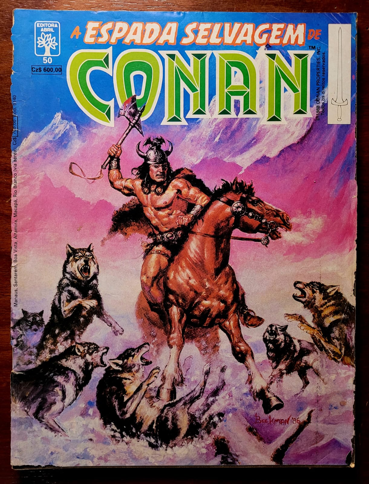 A Espada Selvagem de Conan No 50 1 Casa do Colecionador