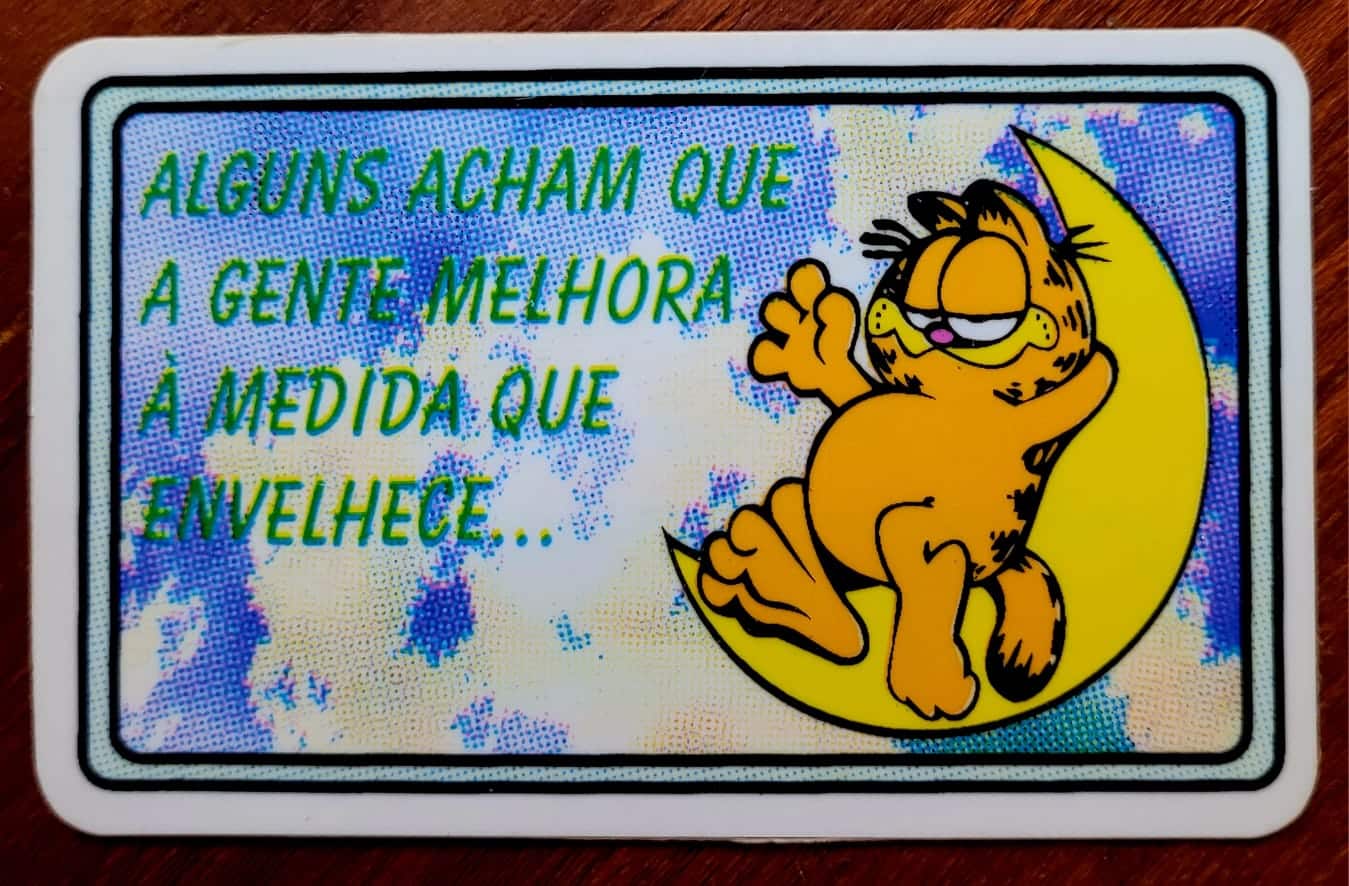 Card Garfield 1 Casa do Colecionador