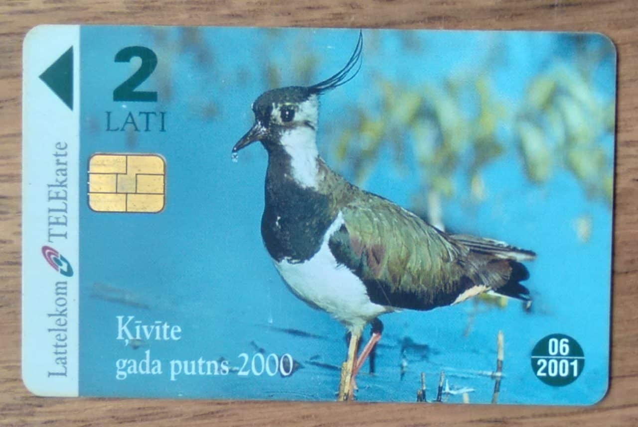 Cartão telefone Letônia Lattelekom chip 2000. Pássaro Kivite ninho ovos.