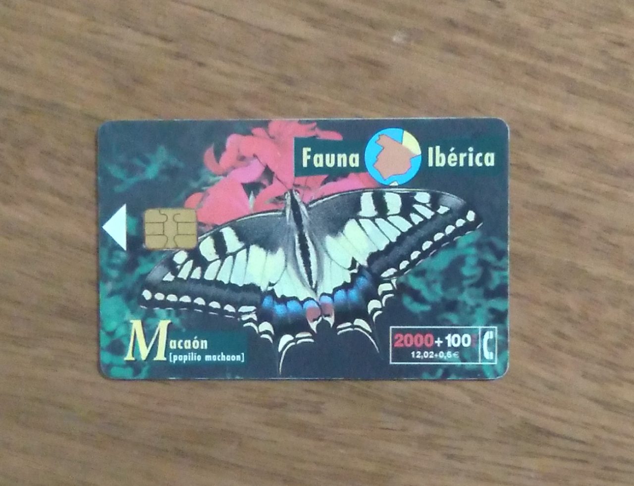 Cartão telefone Espanha Telefônica 1999. Fauna Iberica mariposa Macaón.