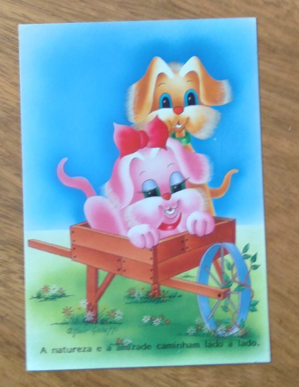 Cartão Postal Litoarte Jovem 95. A natureza e a amizade.