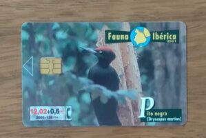 Cartão telefone Espanha Telefônica 2001. Fauna Iberica Pito negro.