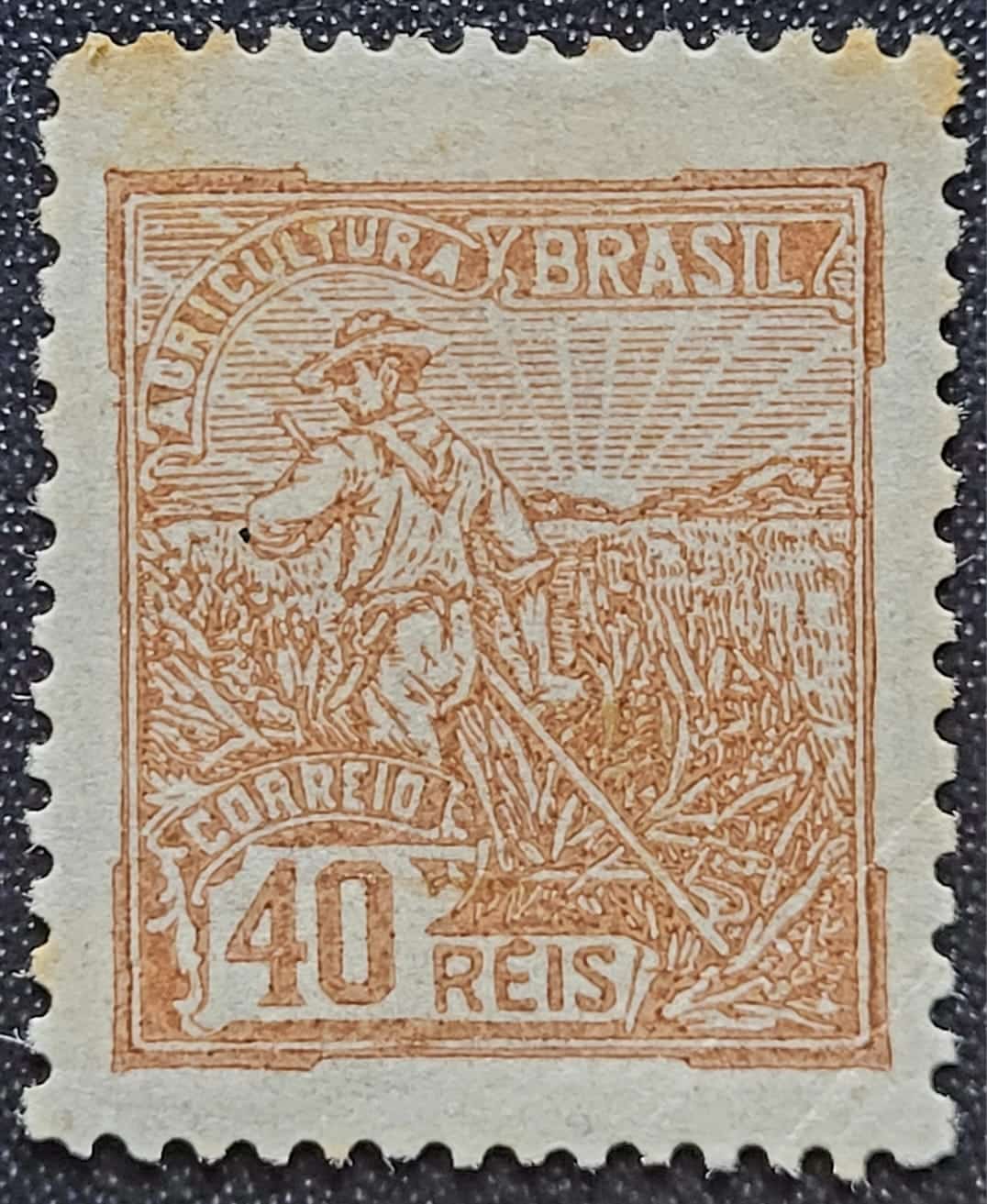 Regulares - RHM 176 (Novo) 40 Réis - Agricultura - Vovó Parte 1 - 1922 (Selos do Brasil)