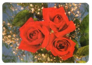 Calendario De Bolso – Tema Flores – Rosas – 1997