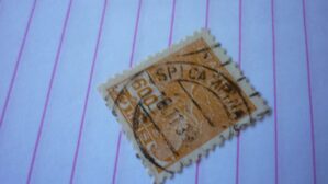 SELO 600 RÉIS COM CARIMBO CAMPINAS LOTE 499 .