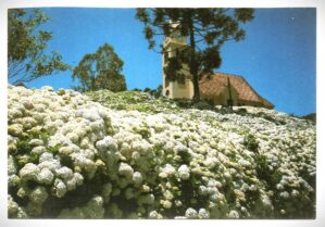 Cartão Postal Gramado ( RS ) - Igreja Evangelica - Anos 70