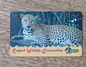 Cartao telefone Singapura Telecom. Jardim zoológico Leopardo.