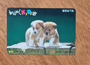 5ab. Passagem Japão. Metrô de Tóquio. Kids 2 cachorrinhos.