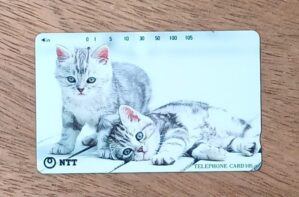25ma. Cartão telefone Japão Ntt 111 078 1995. Gatos pardos