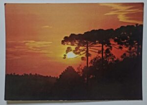 Cartao Postal Rio Grande Do Sul Serras Gaucha Por Do Sol Com Araucarias Decada De 1980