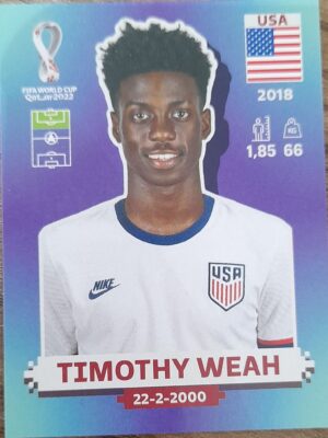 figurinha copa do mundo 2022 Estados unidos nº20