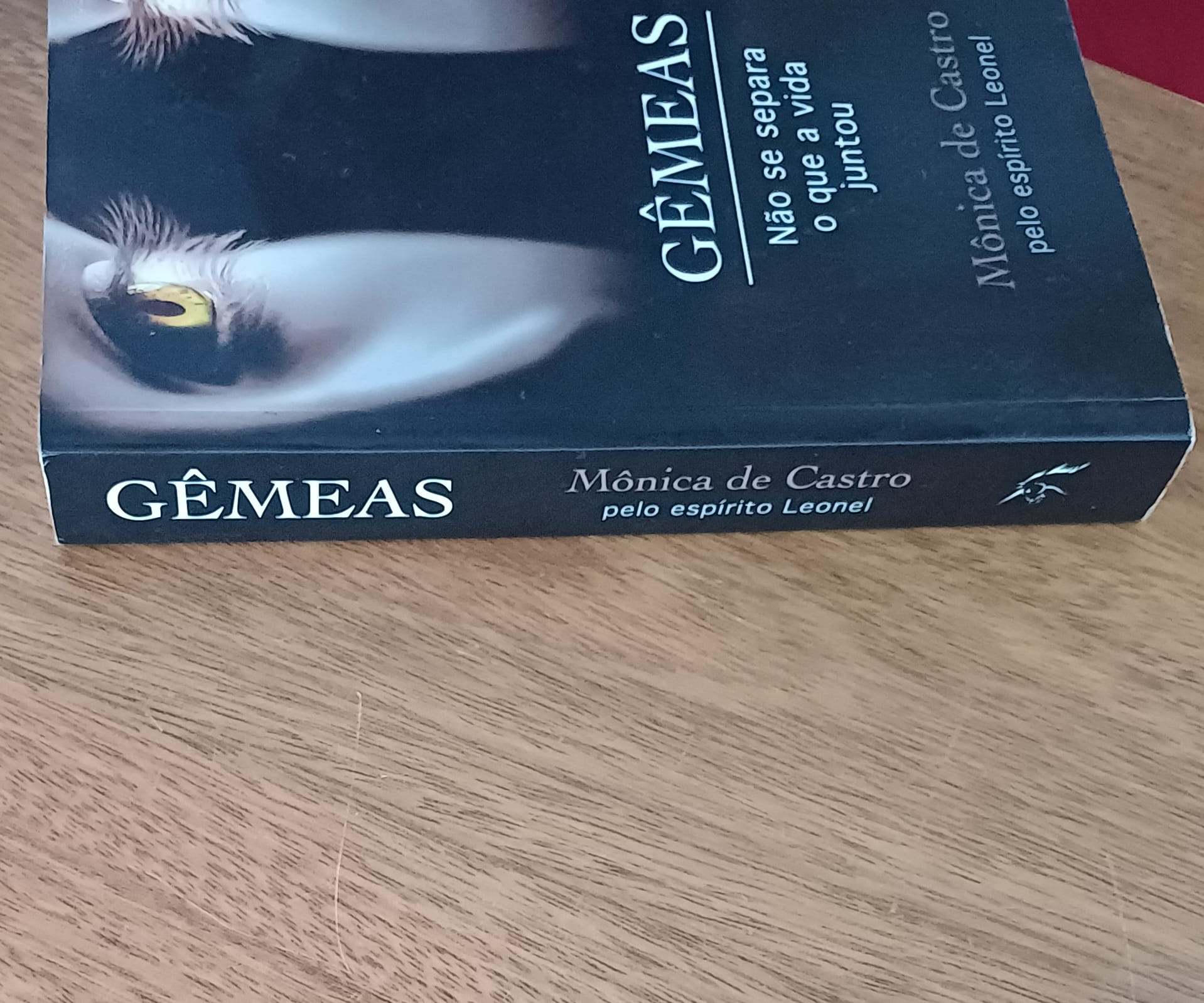 | Casa do Colecionador L23q. Livro Mônica de Castro espirito Leonel ed Vida e Consciência. Gêmeas