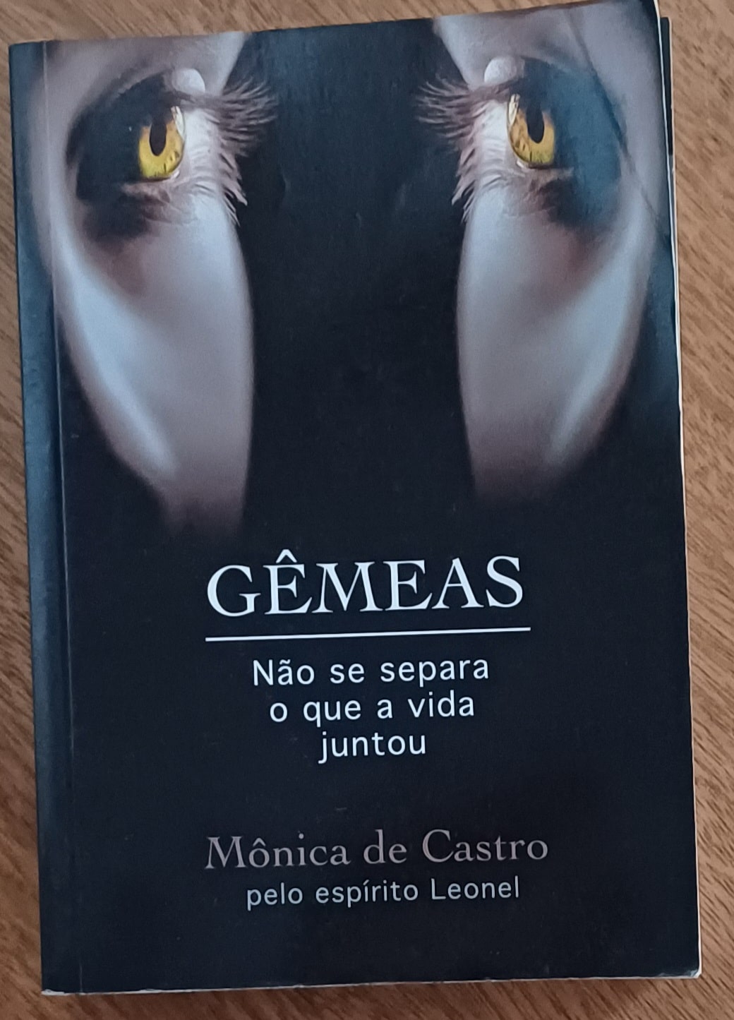 | Casa do Colecionador L23q. Livro Mônica de Castro espirito Leonel ed Vida e Consciência. Gêmeas
