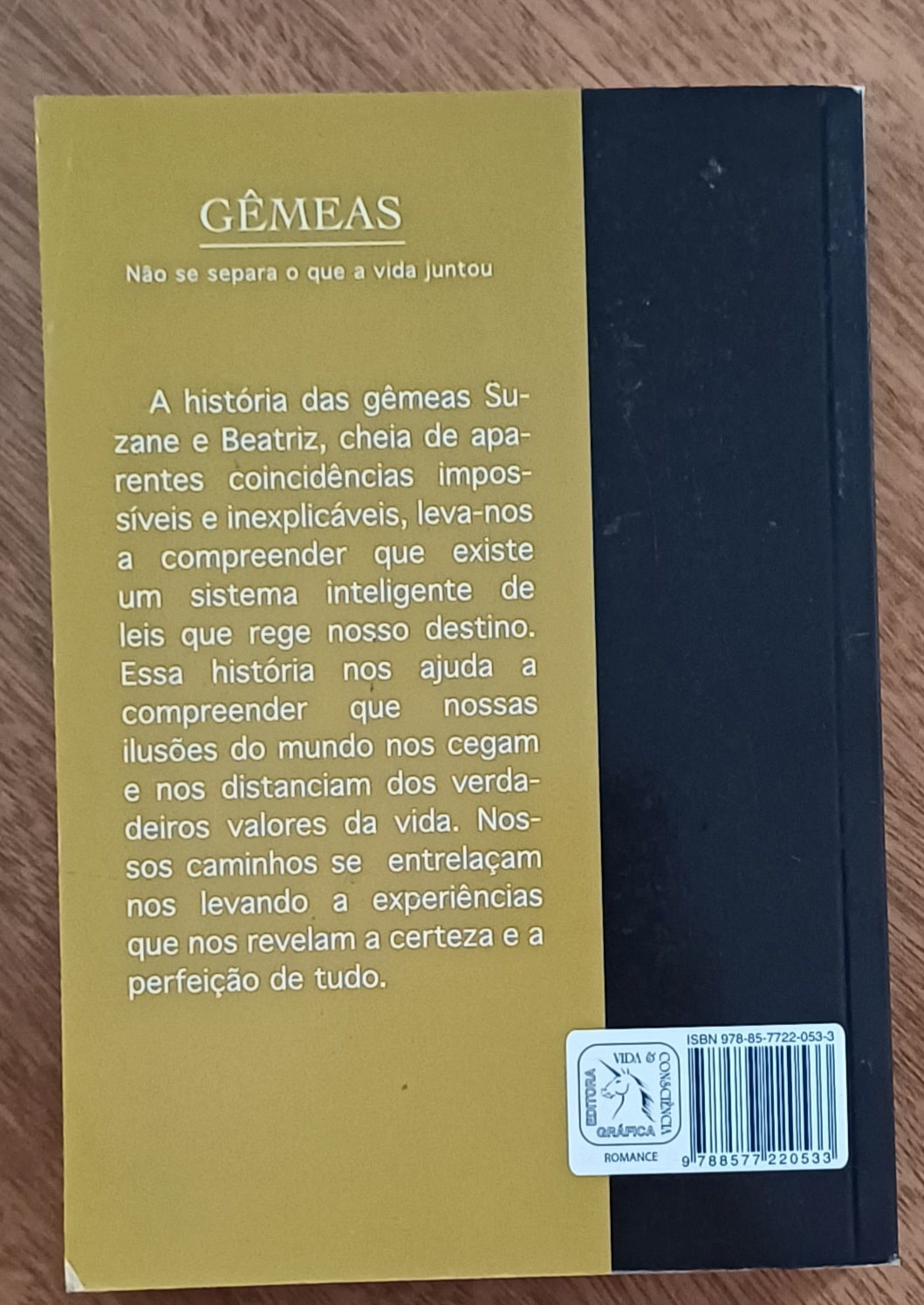 | Casa do Colecionador L23q. Livro Mônica de Castro espirito Leonel ed Vida e Consciência. Gêmeas