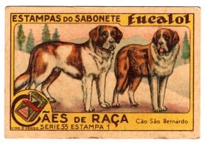Estampas Eucalol - Cães de Raça - Série 55 - Estampa 1 - Anos 30 / 40 - 1° Emissão