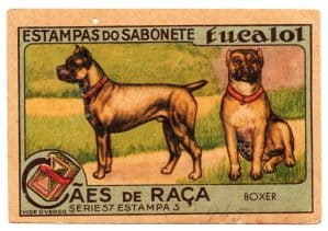 Estampas Eucalol – Cães de Raça – Série 57 – Estampa 3 – Anos 40 / 50 – 1° Emissão