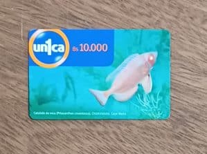 Cartão telefone Venezuela Cantv Única. Fauna Marinha Catalufa de roca.